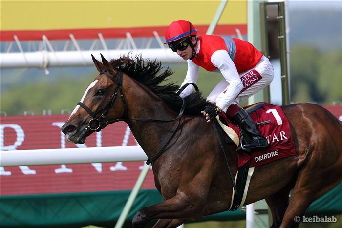 【現地】オルフェーヴル 【シンザン記念3着　きさらぎ賞2着　スプリングS1着】 きさらぎ賞