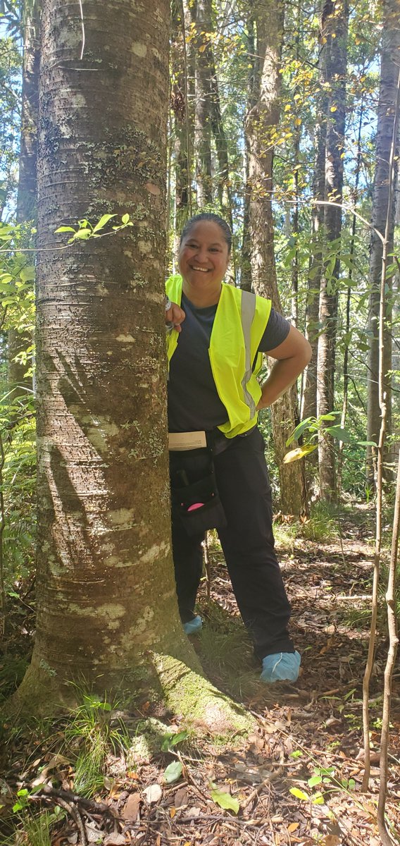 Kauri Rescue tweet media