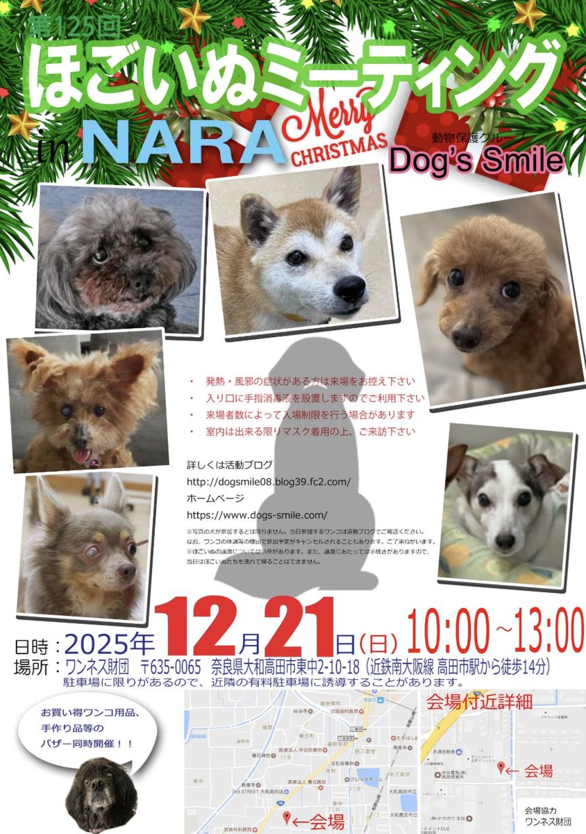 新入り紹介の途中ですが ほごいぬミーティングのお知らせです🐾 12月21