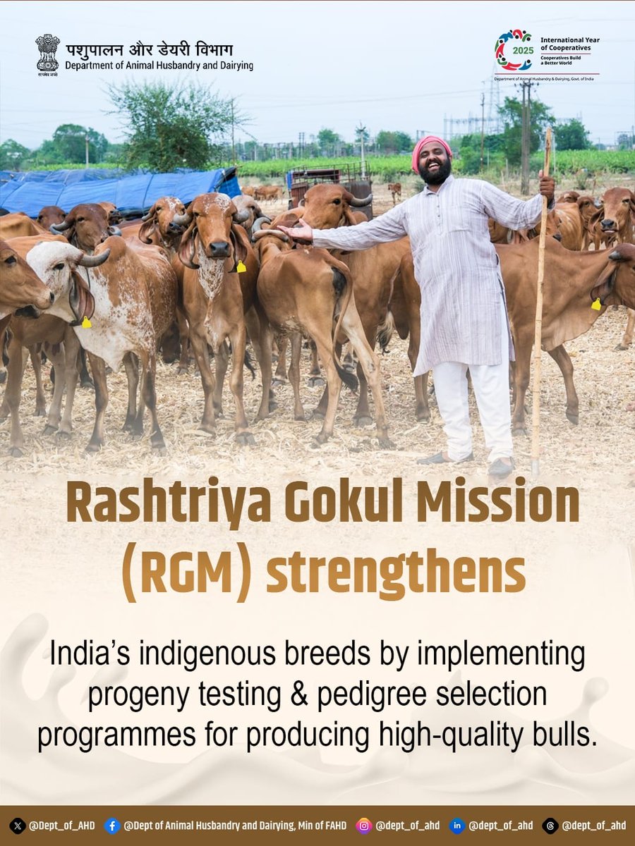 Dept_of_AHD's tweet photo. By focusing on progeny testing and pedigree selection, Rashtriya Gokul Mission is securing the future of India’s indigenous breeds with healthier and genetically superior bulls.
#RGM #IndigenousBreeds #CattleDevelopment #DairyProgress #DAHDIndia #LivestockCare https://t.co/bB2QqPsOUE