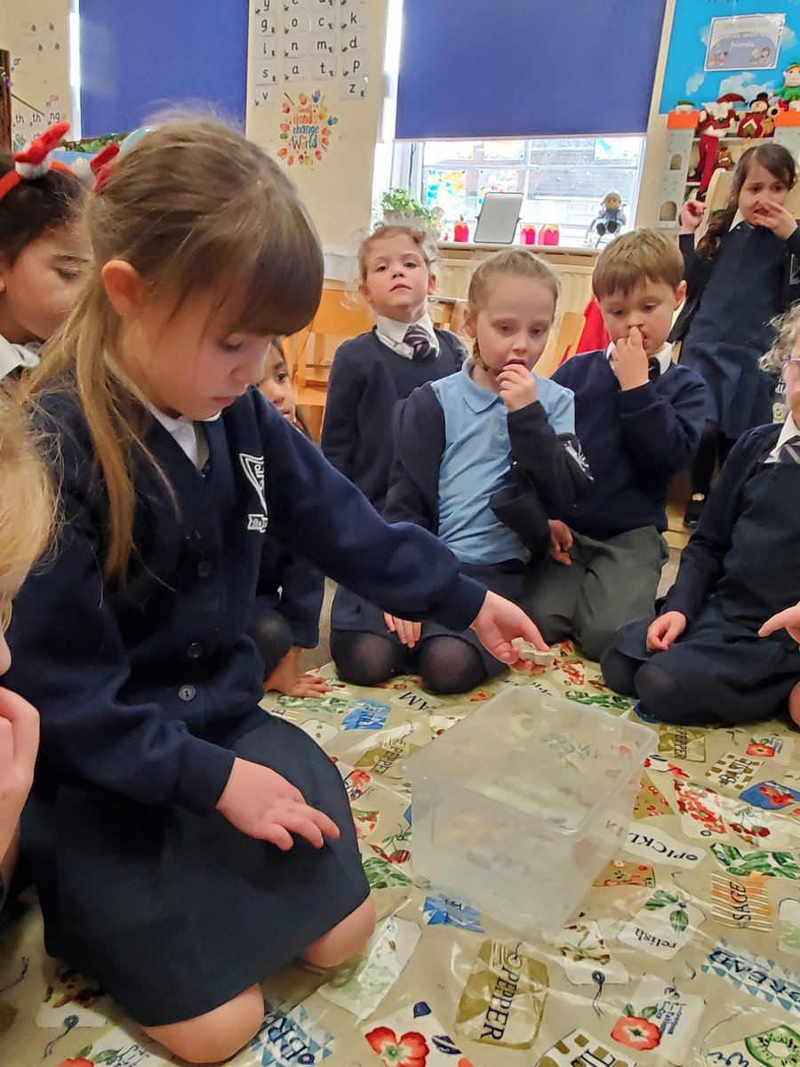 Mrs McMullan tweet media