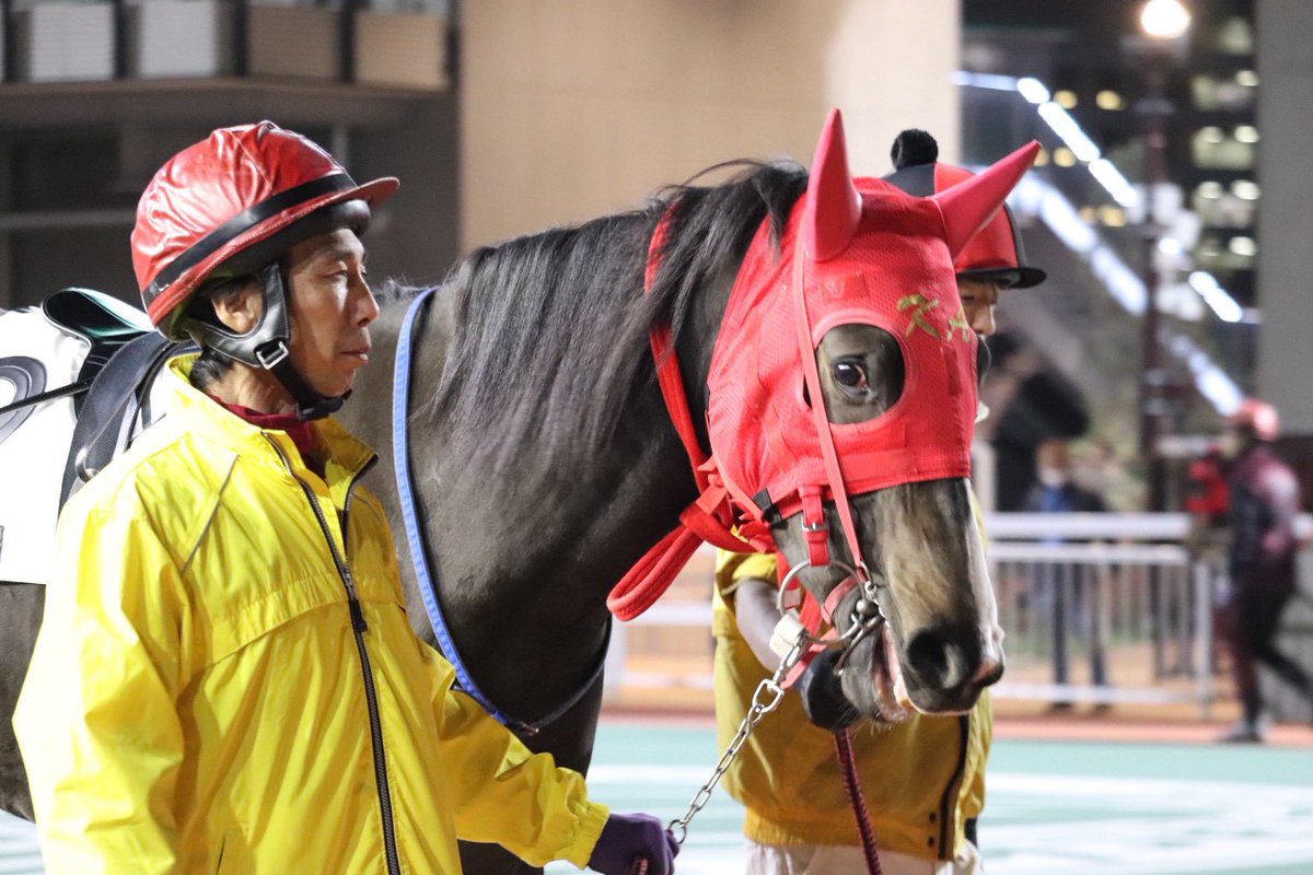 ジュンシンカレン ちゃん お名前も可愛らしくて好きな女の子( ơ ᴗ ơ