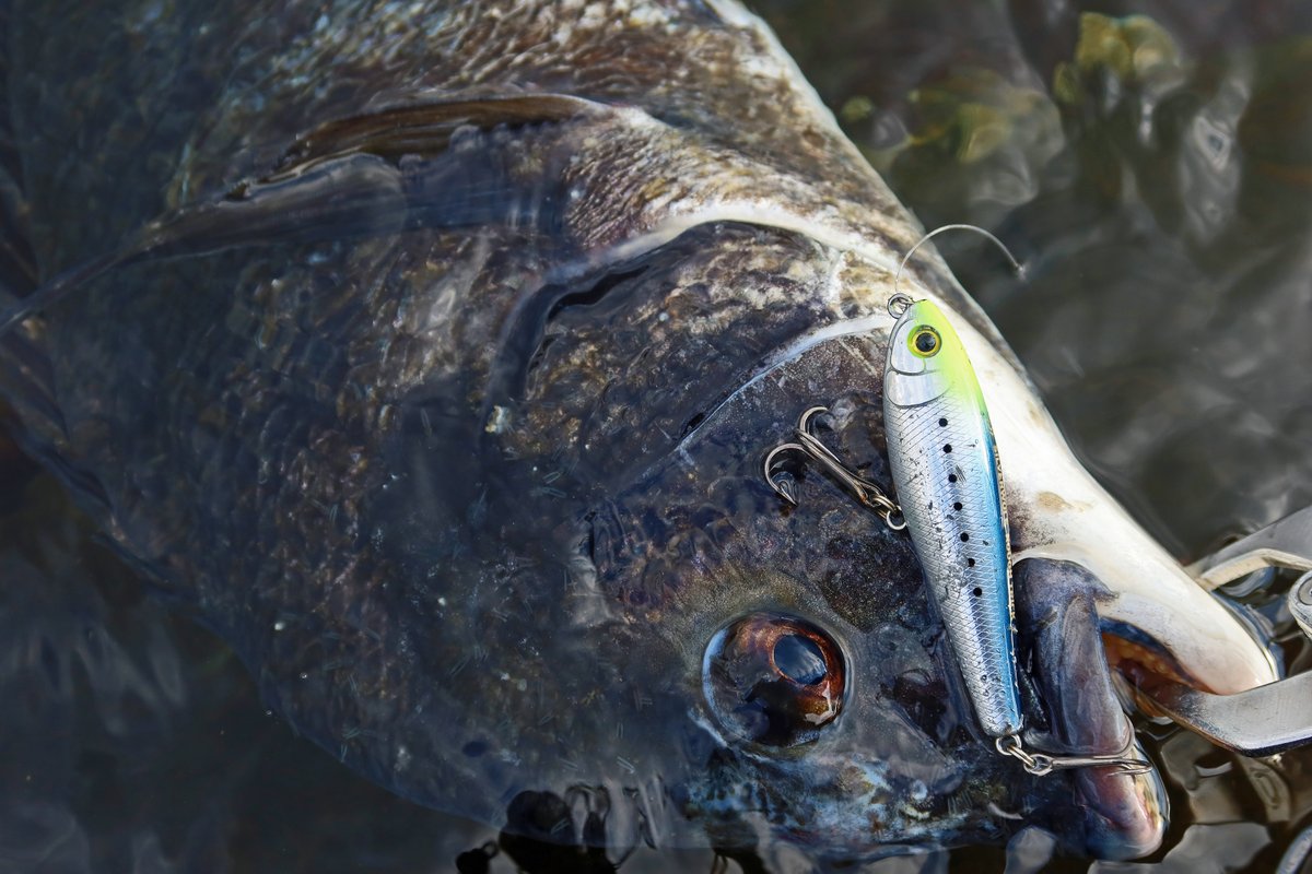 もりぞー (@morizo57) / Posts / X