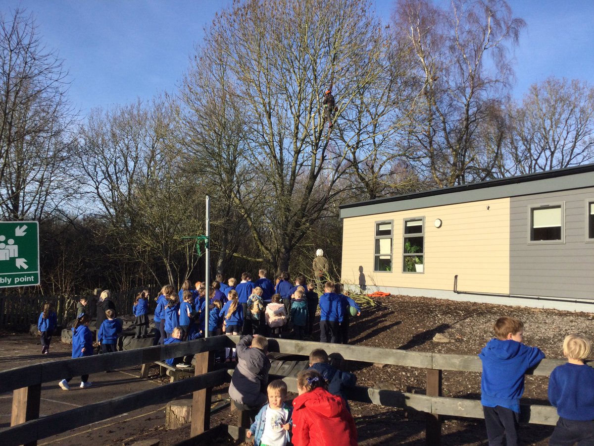 WhitegateOak tweet media