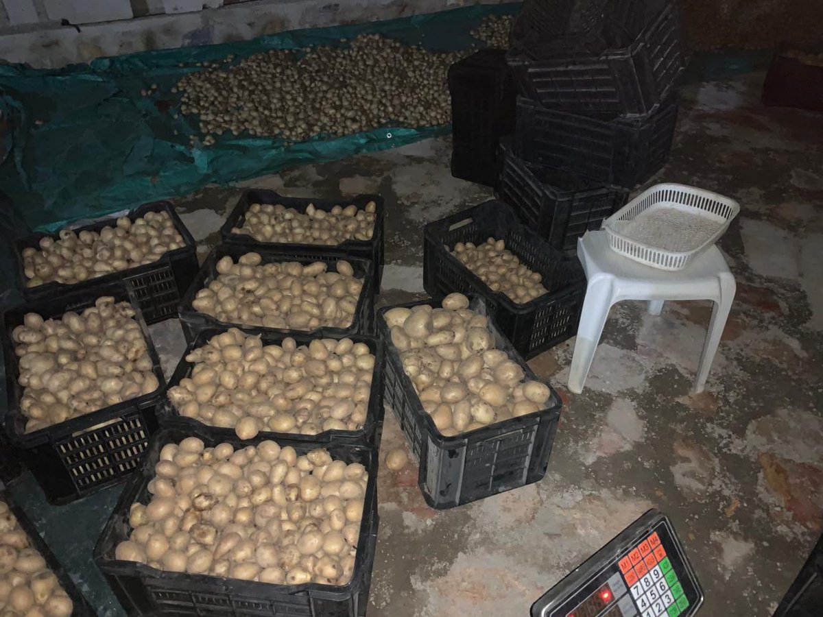 FlockaJesus's tweet photo. Batatas Disponível !🥔 ✅
No valor de 10000kz cada 10kg. 
Com entrega grátis na cidade do Lubango📦🚚
E próxima semana estaremos disponíveis para cidade de Luanda , faça já a sua encomenda !📦 
Disponível mais de 12 toneladas para Luanda. 
Contacto: 945812176 https://t.co/f6Bf0oj4uN