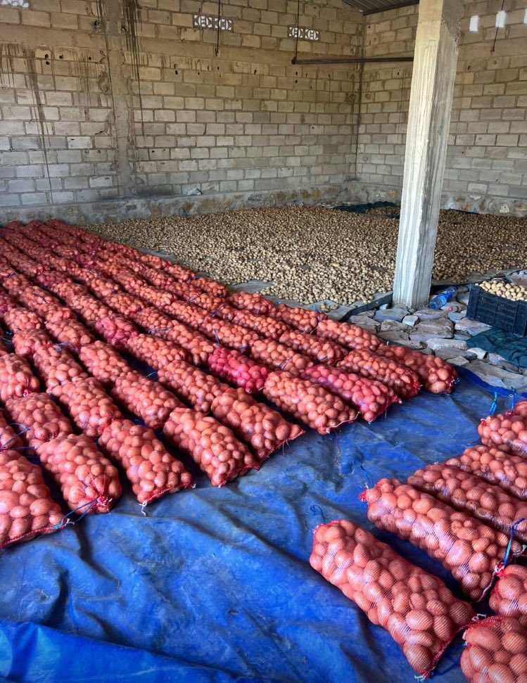 FlockaJesus's tweet photo. Batatas Disponível !🥔 ✅
No valor de 10000kz cada 10kg. 
Com entrega grátis na cidade do Lubango📦🚚
E próxima semana estaremos disponíveis para cidade de Luanda , faça já a sua encomenda !📦 
Disponível mais de 12 toneladas para Luanda. 
Contacto: 945812176 https://t.co/f6Bf0oj4uN