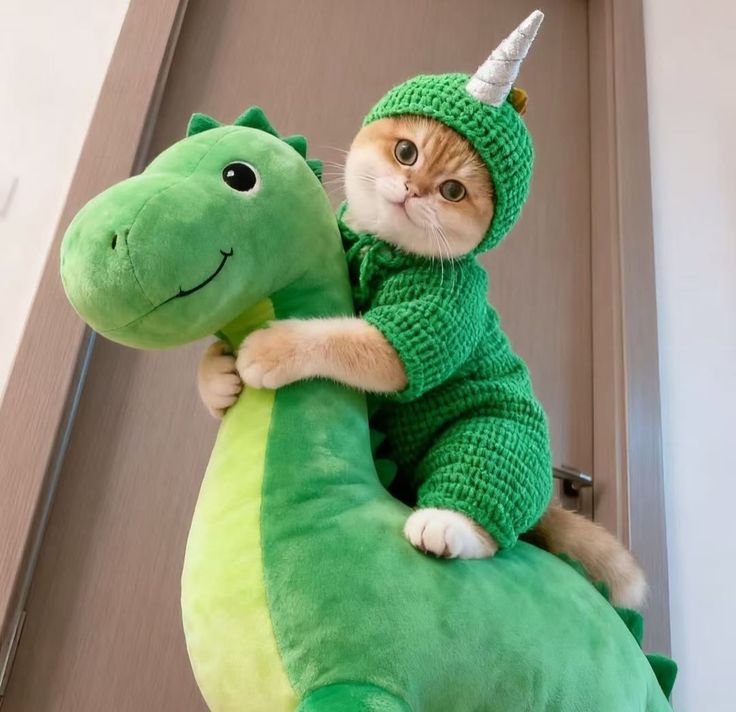 Cats all the way tweet media