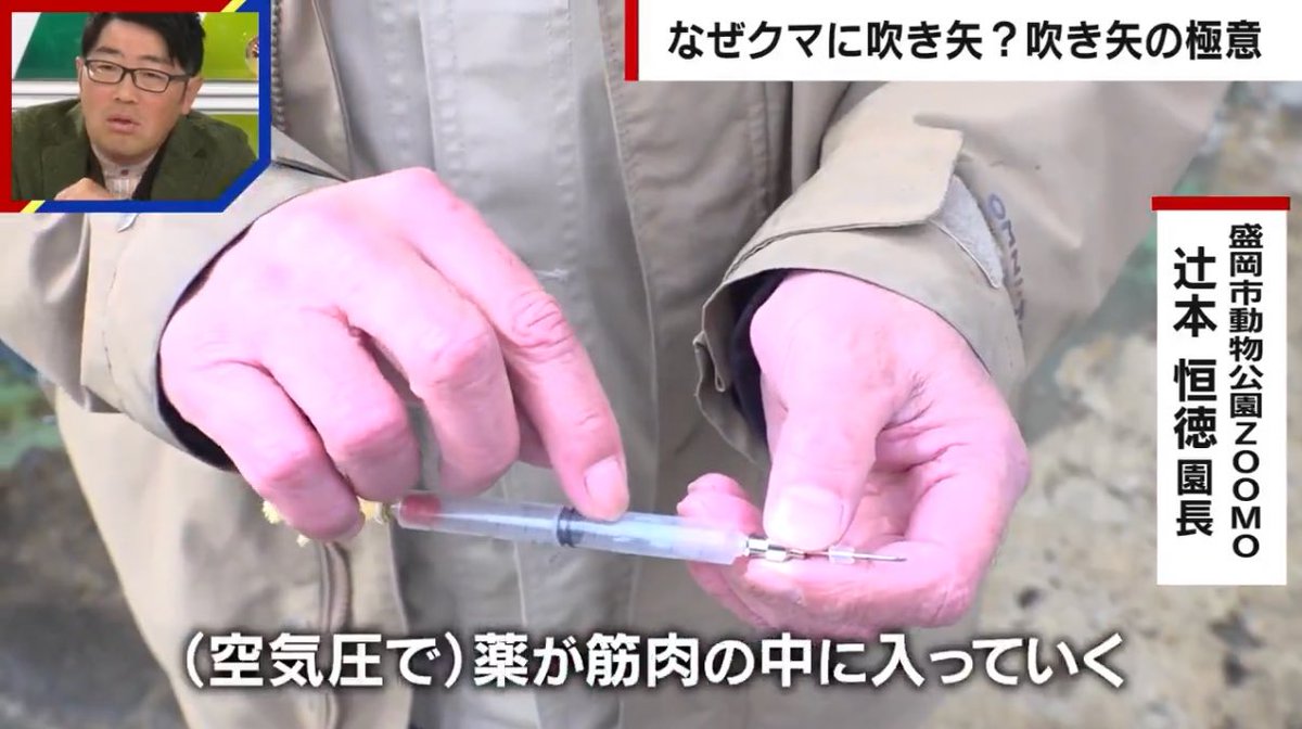 おると🦴整形外科医@筋トレ tweet media