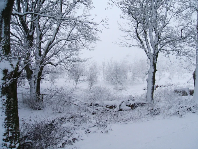 Image from Whitelee Cottages (@WhiteleeFarm)