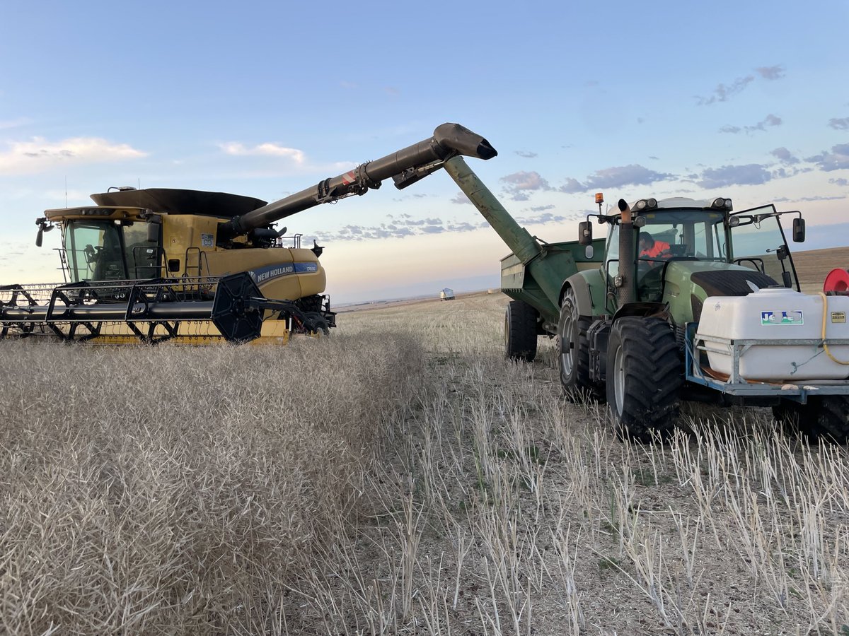 Mark Modra tweet media