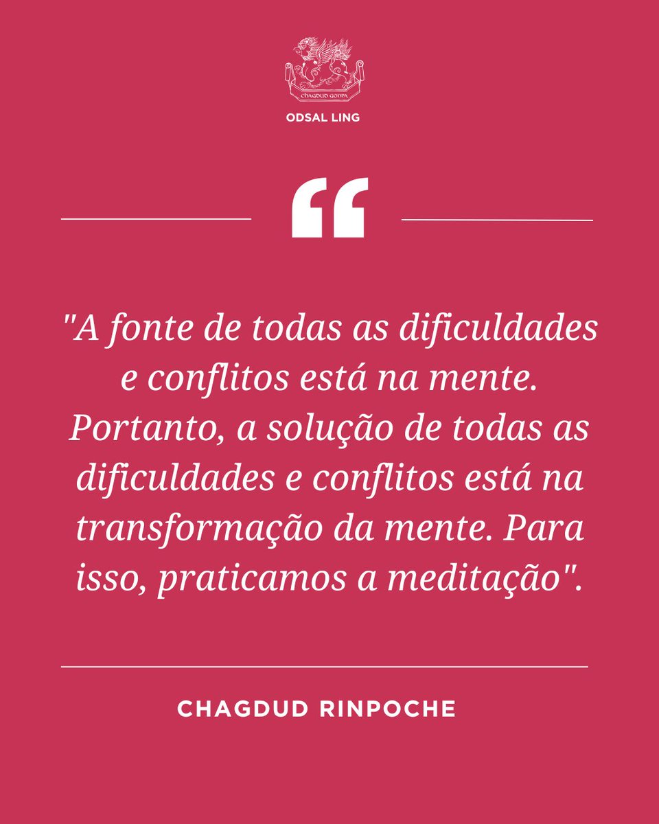 odsalling's tweet image. Hoje é dia de Tara!