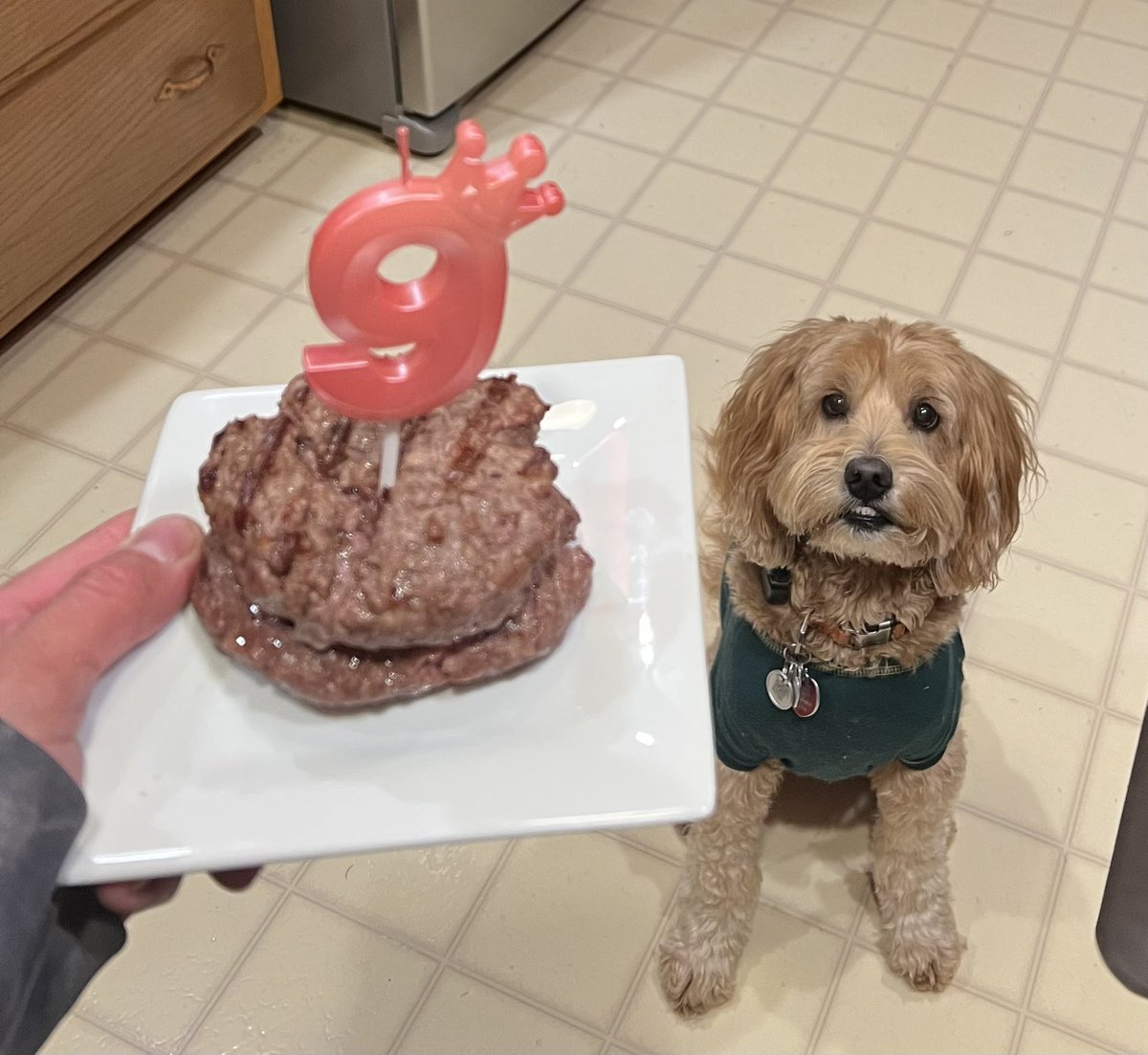 Happy Birthday to the Love of My Life!