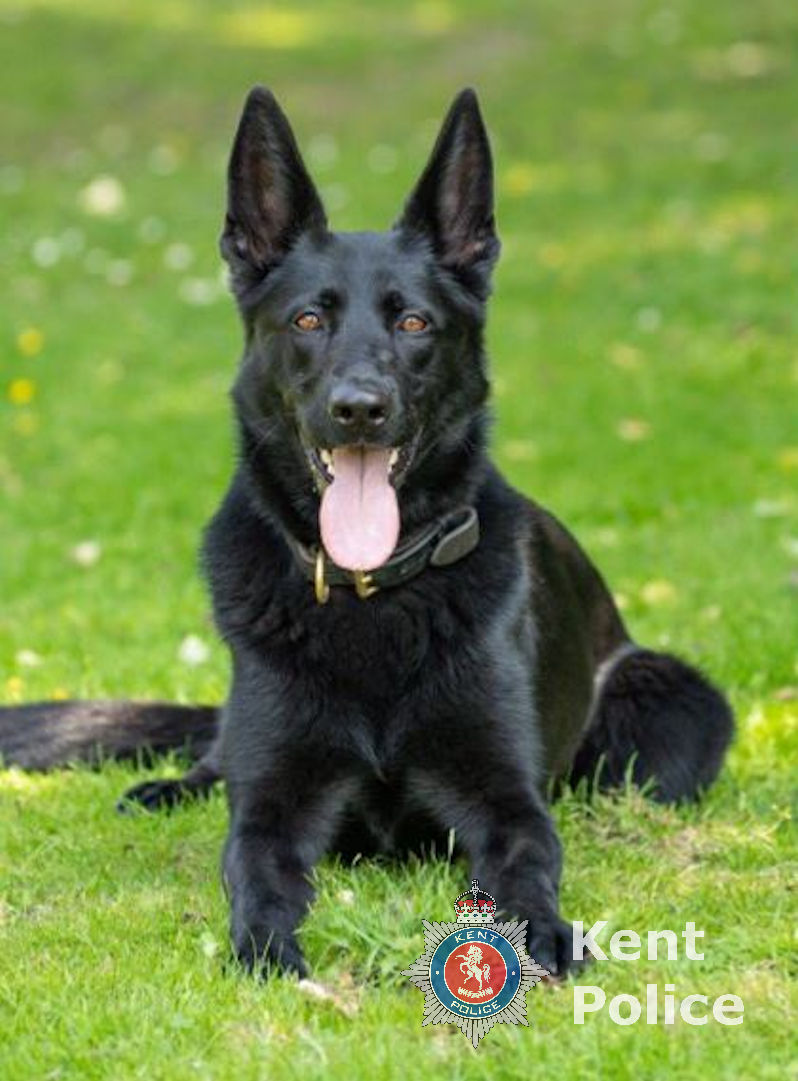 Kent Police Dover tweet media