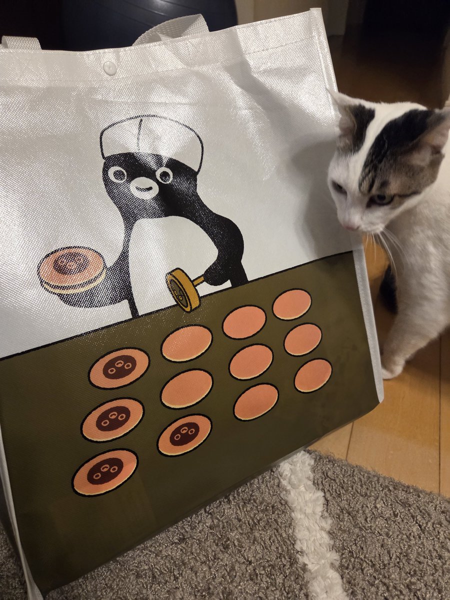 ほうほう、ネコも好きな感じの袋ですね