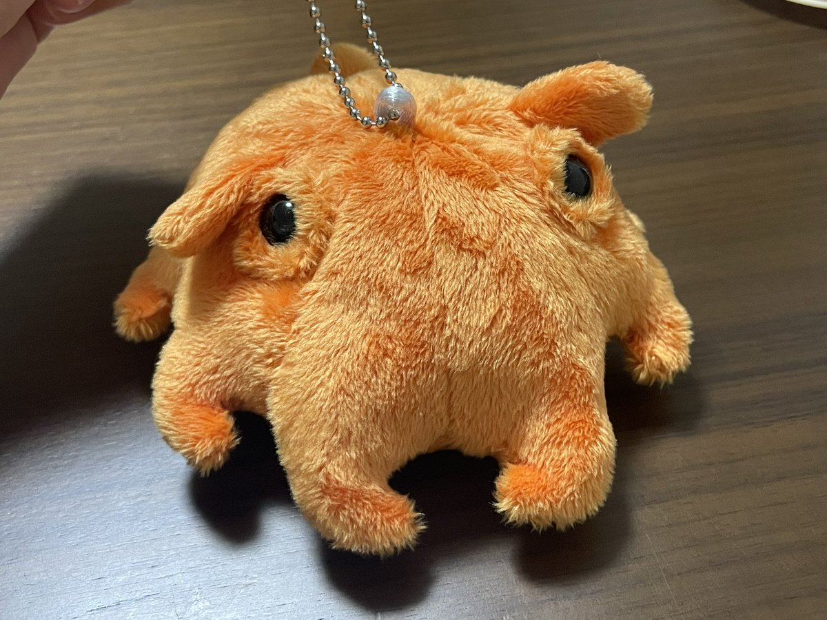 めじろ (@mejiro_i) / Posts / X