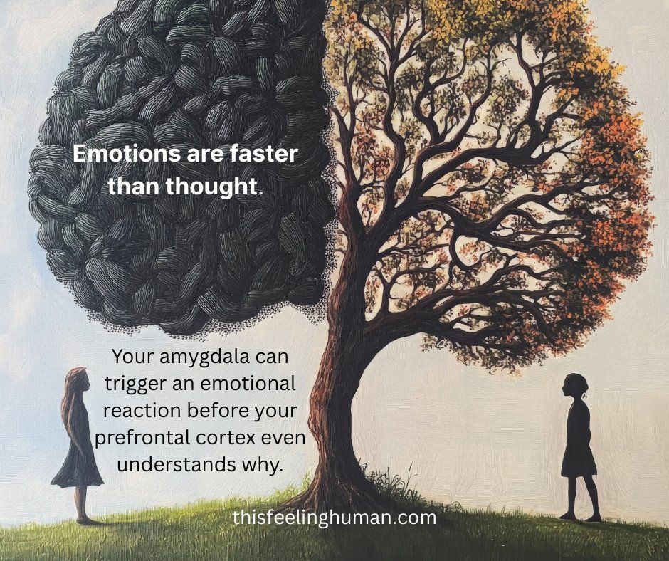 Your body feels the story long before your mind can read it.

Emotion hits fast.
Thought arrives late.
The goal isn’t to slow the emotion—it’s to understand its message.

Start by learning how your body speaks before your mind translates at buymeacoffee.com/thisfeelinghum…