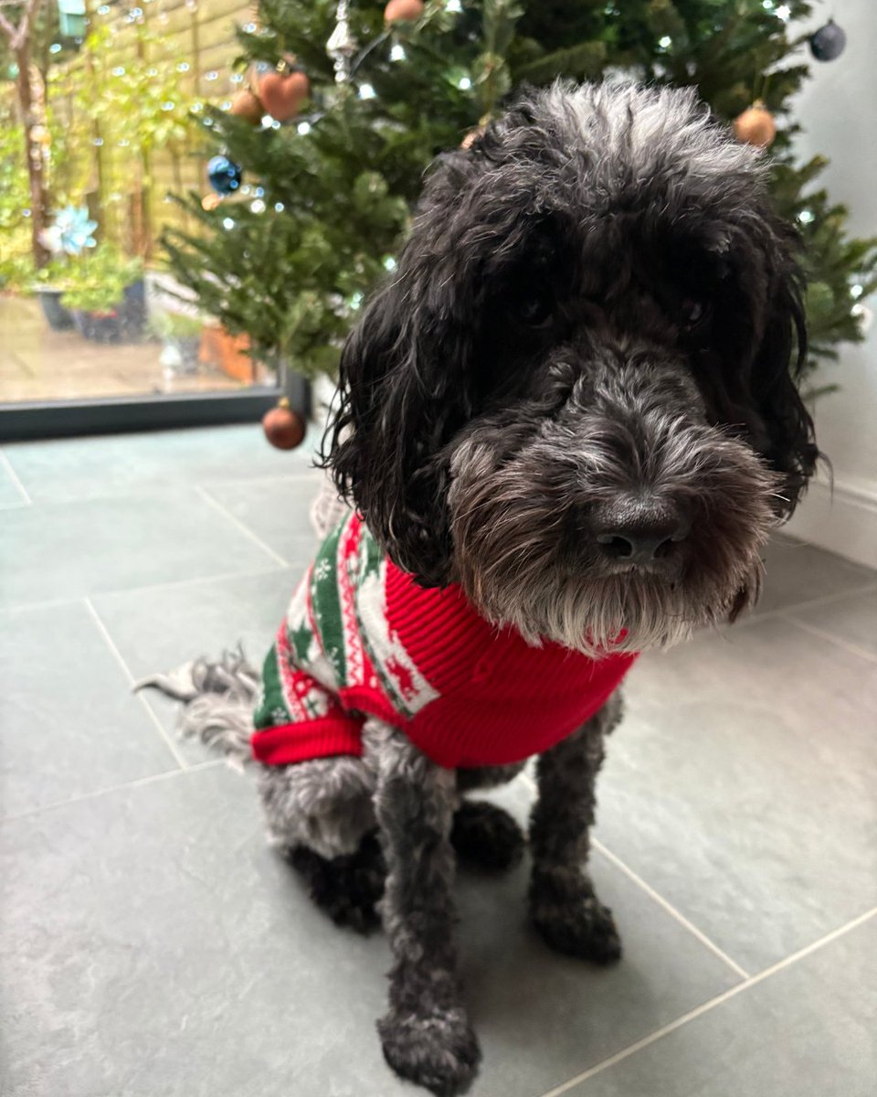 Baby Lifeline 💙 tweet media