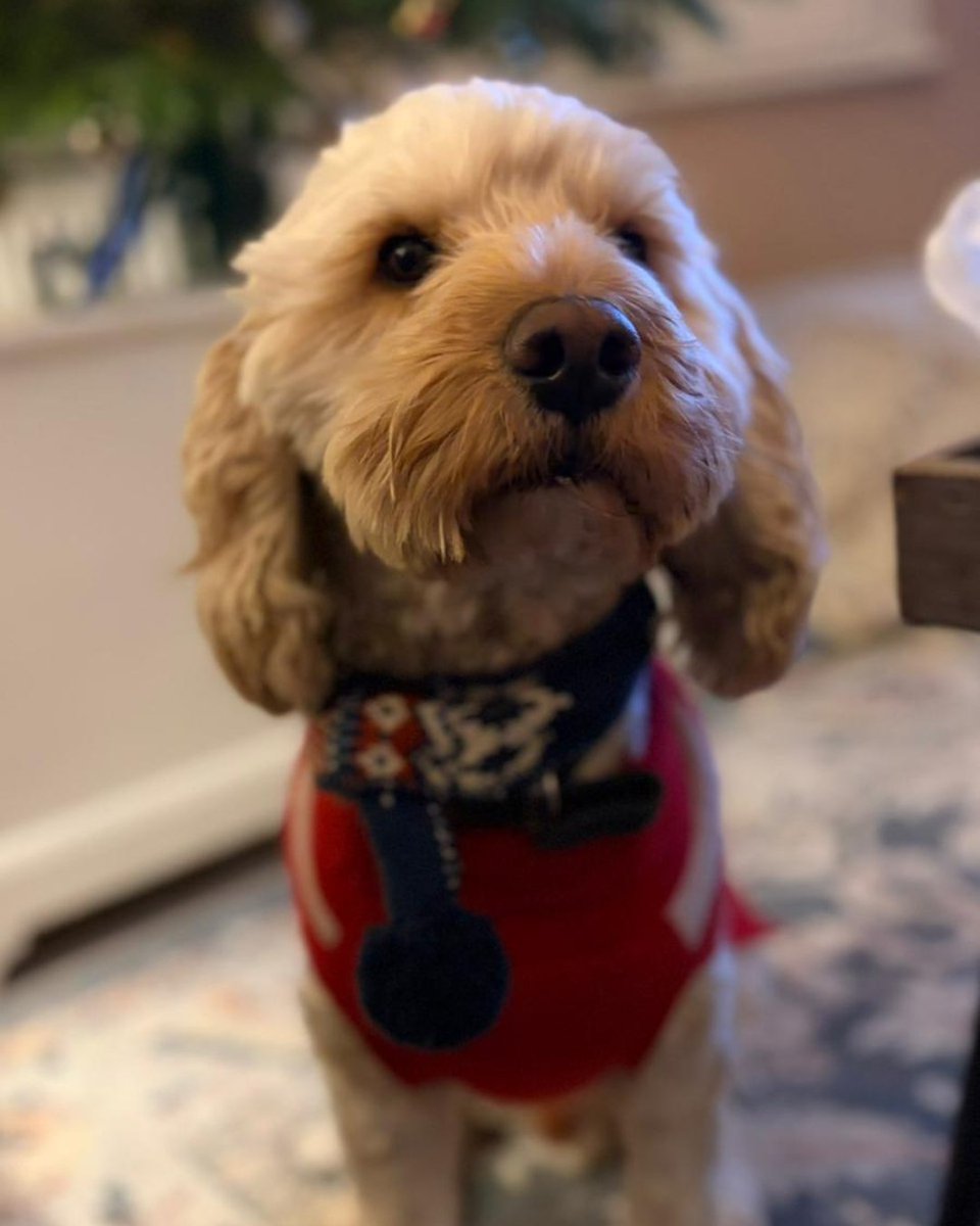 Baby Lifeline 💙 tweet media