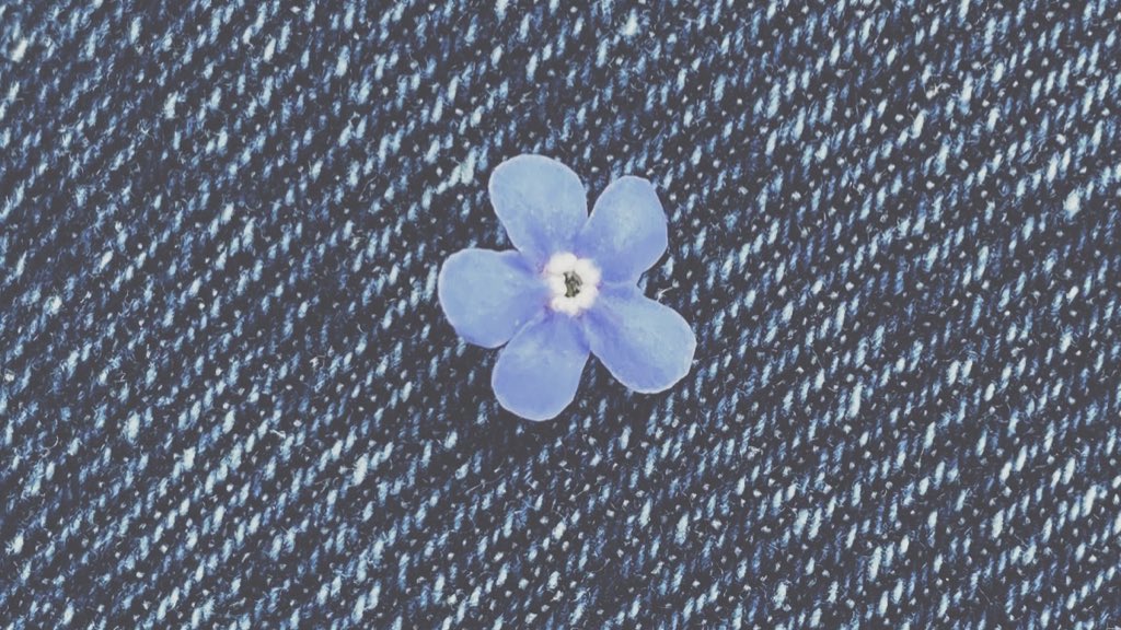 Lyeesui's tweet image. (✨🌿❤️ … ) wrapped in soft lights and pastel hues, they brought a dreamy warmth to the stage. rosy cheeks, gentle smiles, and a kind of energy that feels like a fairytale unfolding right in front of you.