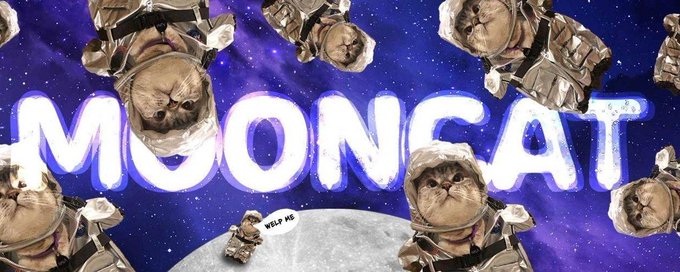 solanacipher tweet media