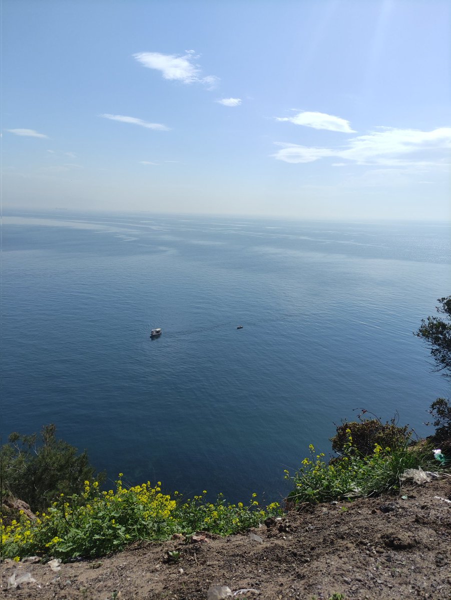 Be_kindtopeople's tweet image. Simple moment full heart.
📷💙