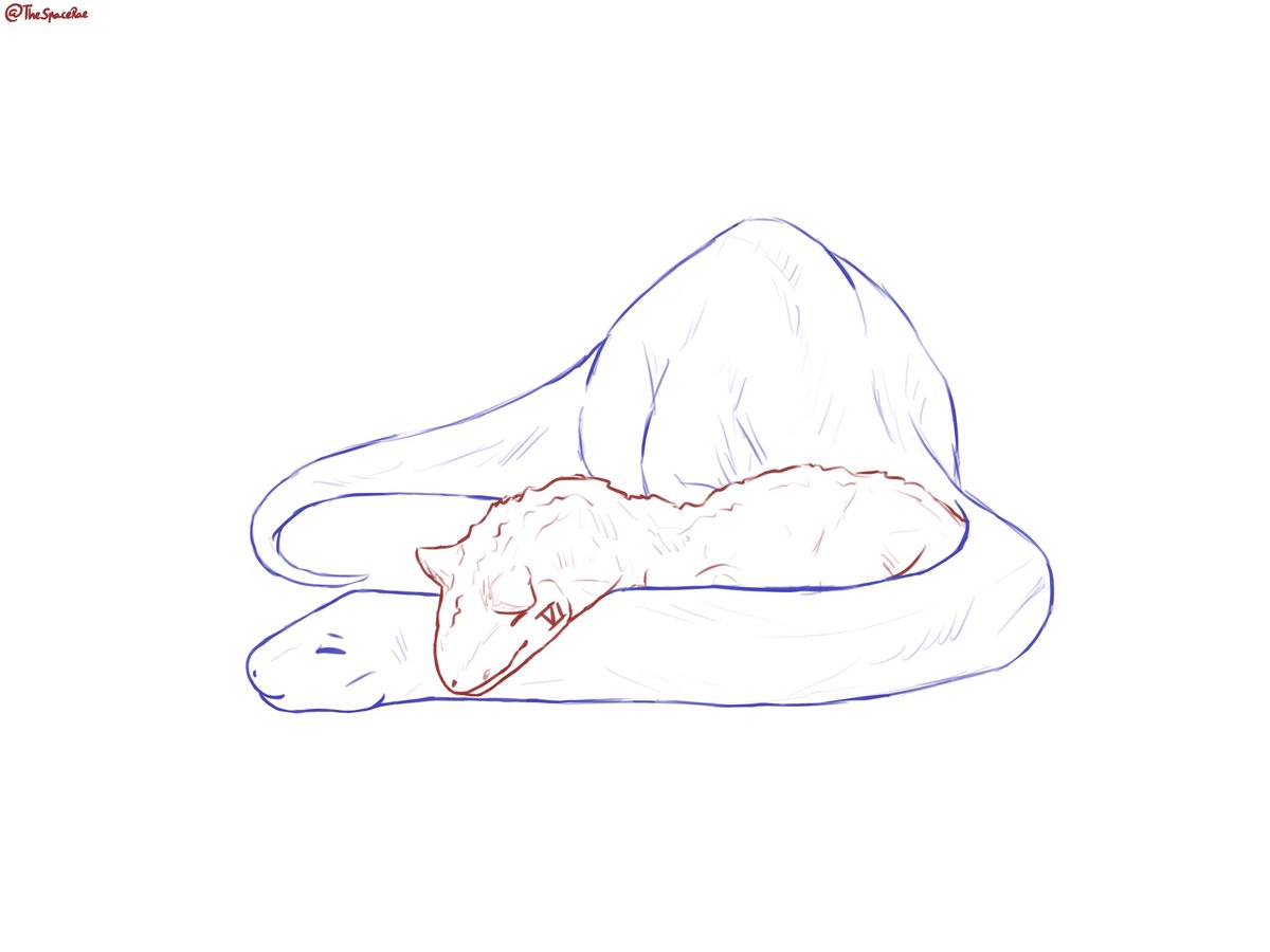 5/50 positions dino Caitvi cuddle in

#Caitvi