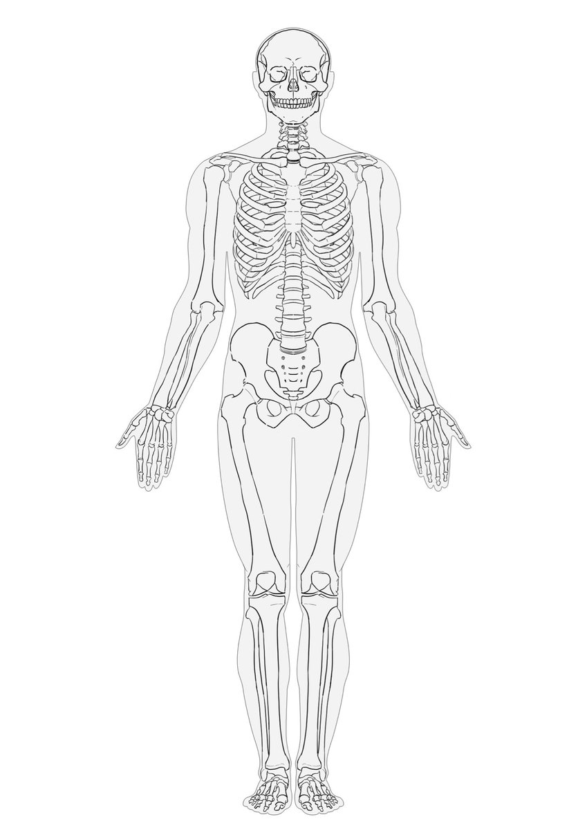 デザイン基礎1(イラストレーション)
A86
《改善点》
・骨の表面、奥行きのある箇所に影を入れるなどして質感を表現できるとなお良い
・骨盤はへりの部分をより立体的に👍🏻

#KUA課題評価