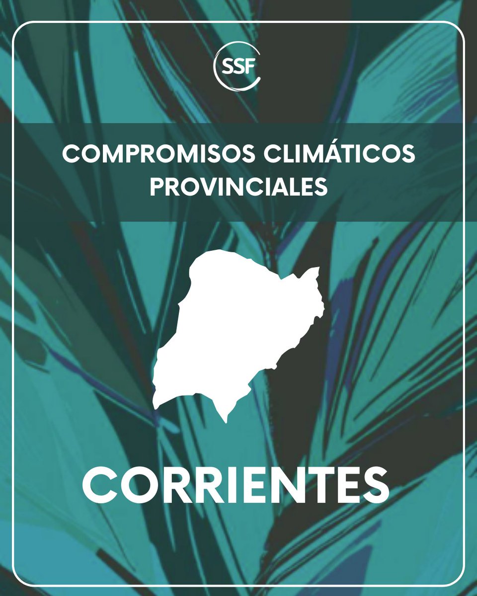 Sustentabilidad sin Fronteras tweet media