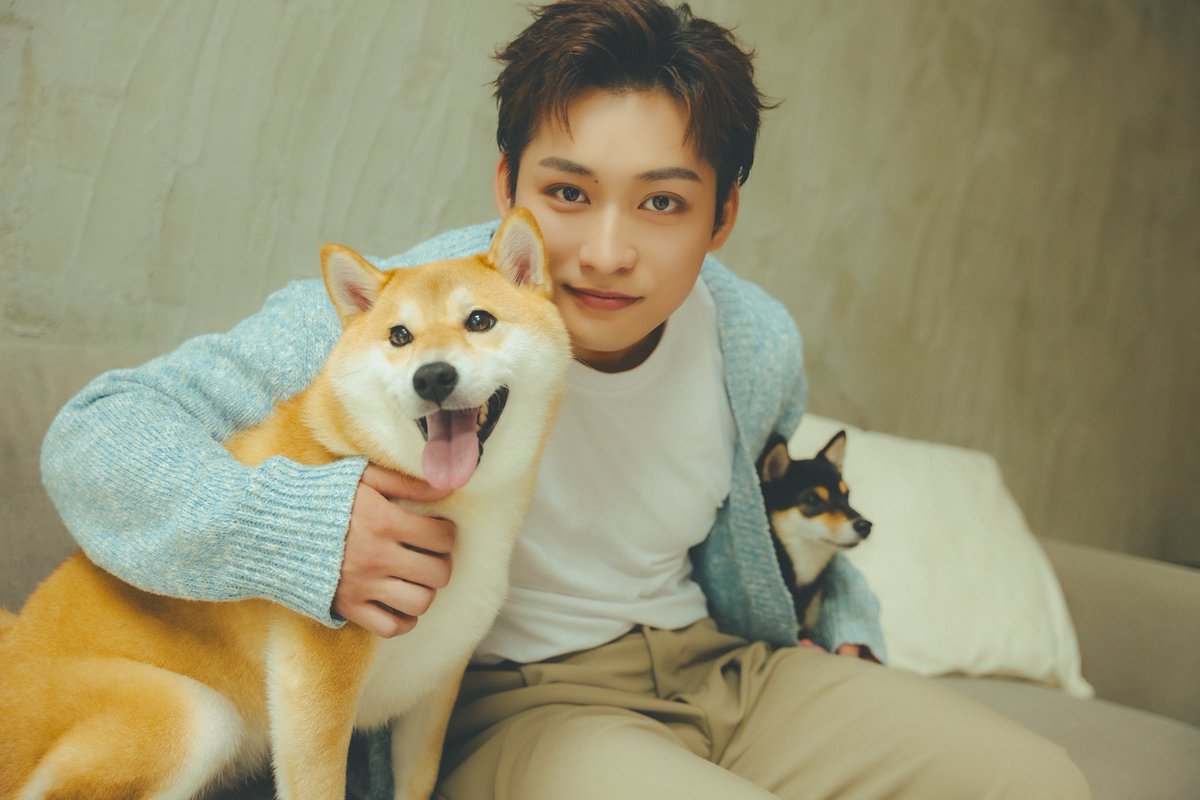 ワンコの写真 さっき、我が家に届きました～。 とも君が『素』で撮影できてる感じで