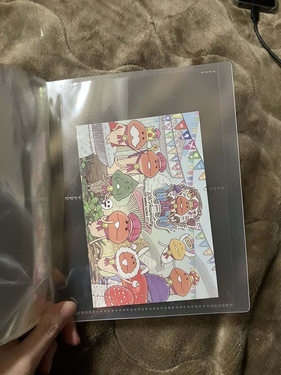 ポストカード入れるとこんな感じ