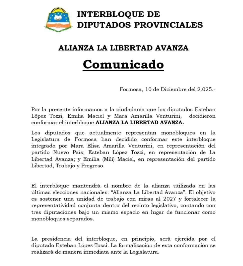 PaoltroniF's tweet image. Nuestra compatriota @milimacielok integrará el nuevo interbloque de La Libertad Avanza en la Legislatura de Formosa. Logramos un paso fundamental para seguir enfrentando los abusos del gobierno ilegítimo de Insfrán y para consolidar una oposición firme y unida de cara al 2027.