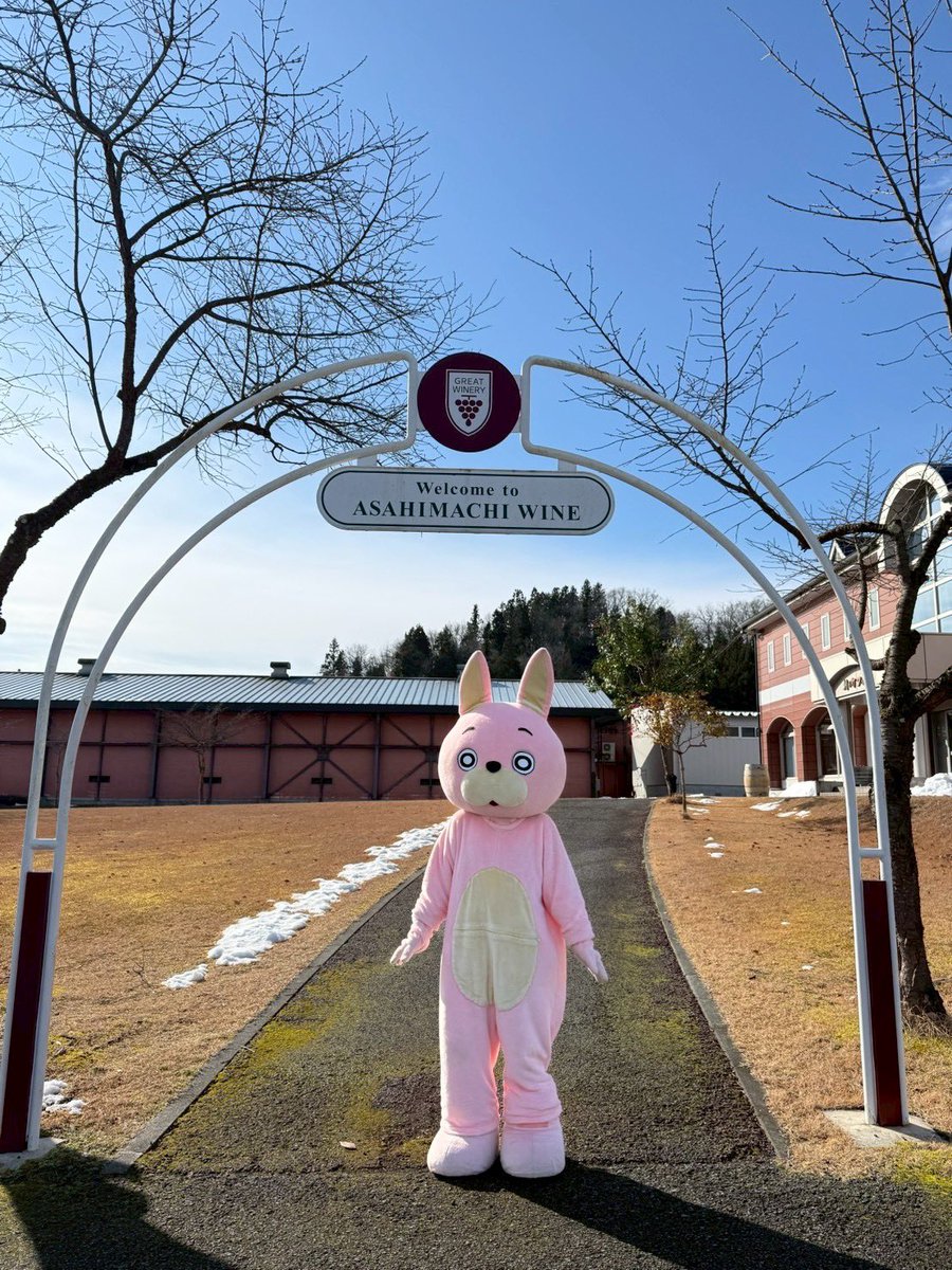 うさひ 桃色ウサヒ (@momoiro_usahi) / Highlights / X