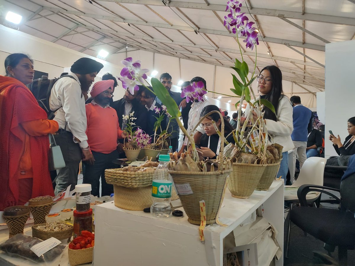 DBT_IBSD's tweet photo. During the #IISF2025 , DBT-IBSD nodal officer Dr. Suraksha Diwan, DBT and 100s of scholars with curious minds visited the IBSD pavilion to explore  various Bioresourses of NER. @DBTIndia @DBT_IBSD
@DrJitendraSingh @rajesh_gokhale https://t.co/0Hyn1lWf0k