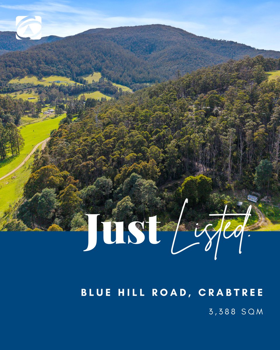 First National Real Estate Hobart & Kingston tweet media