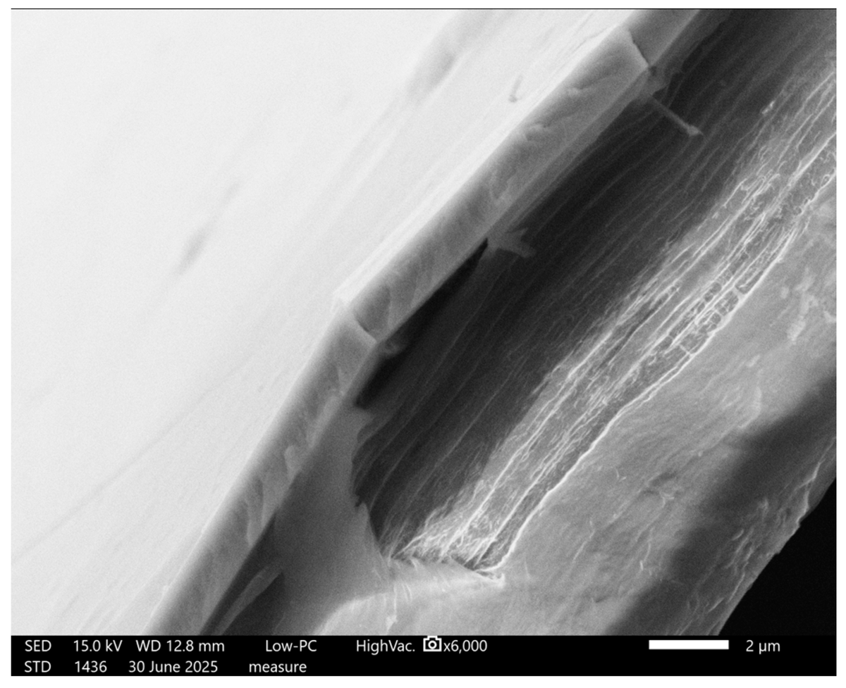 📡 Thickness Effect on #Microwave Permeability of #CoFeB Films on Flexible Substrate

🔗 mdpi.com/2673-8724/5/4/…

#MicrowaveEngineering #FlexibleElectronics #MagneticMaterials #CoFeB