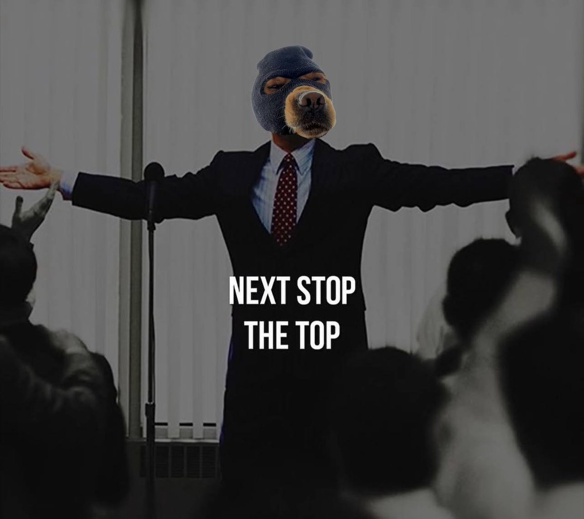 Crypto Dawg!!!! tweet media