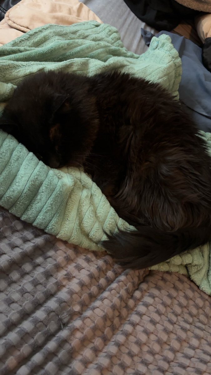 Cake 🍰 tweet media