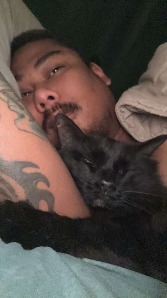 Cake 🍰 tweet media