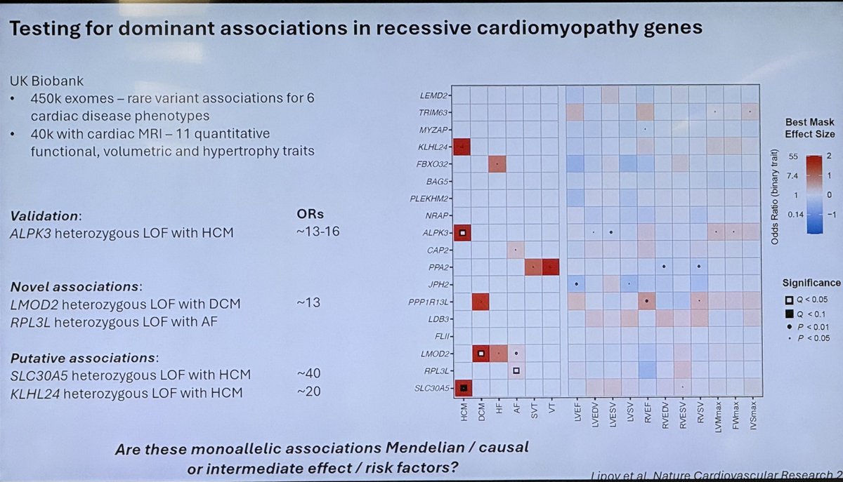 Leema_Robert tweet media