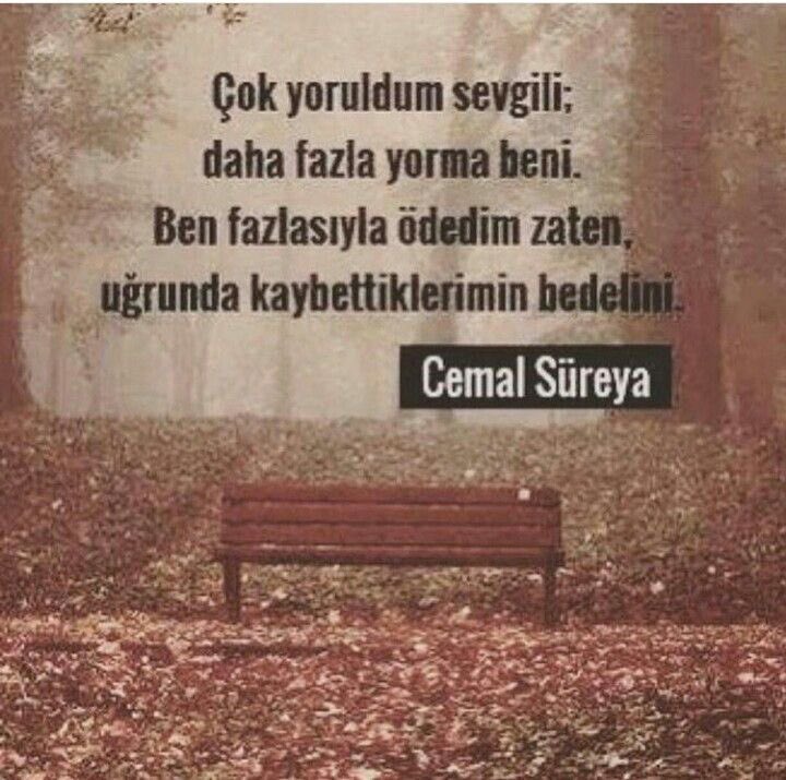 Çok yoruldum sevgili;
Daha fazla yorma beni.
Ben fazlasıyla ödedim zaten
Uğrunda kaybettiklerimin bedelini.