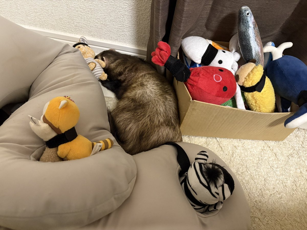 ※2~5ページまであります ちろぴの まとめ売り バラ売り⭕️ ﾉω-)〈じゃバリッチェ🍫いくつも入らないだろう🤣