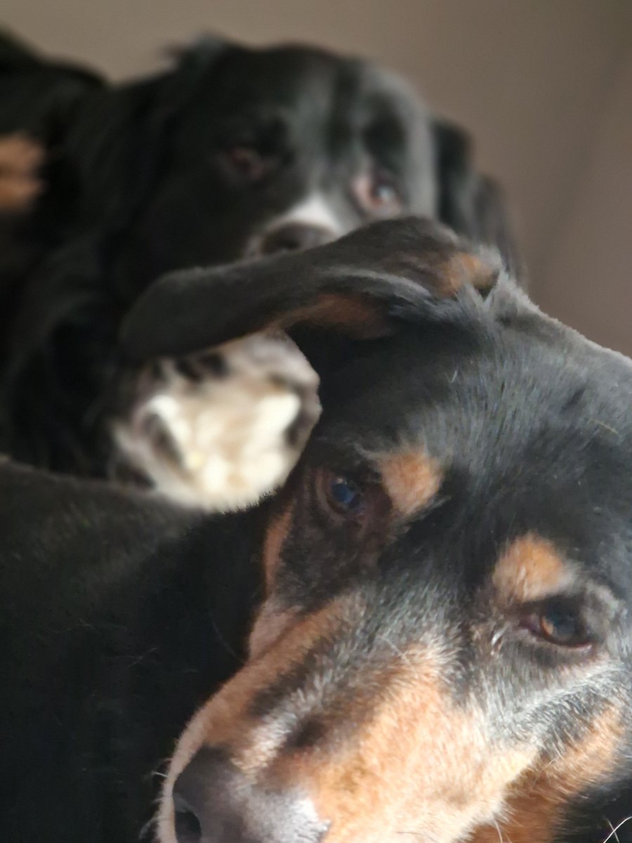 There's no more loyaly in the Universe. 
😍😍