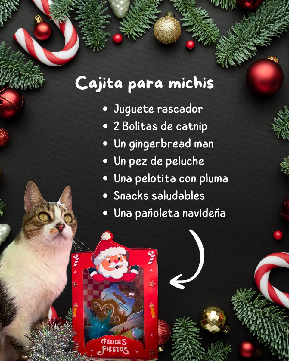 Holi! Mi hermano está preparando unas cajitas navideñas para los peluditos de la casa. Comparto y les agradezco si dan rt.
