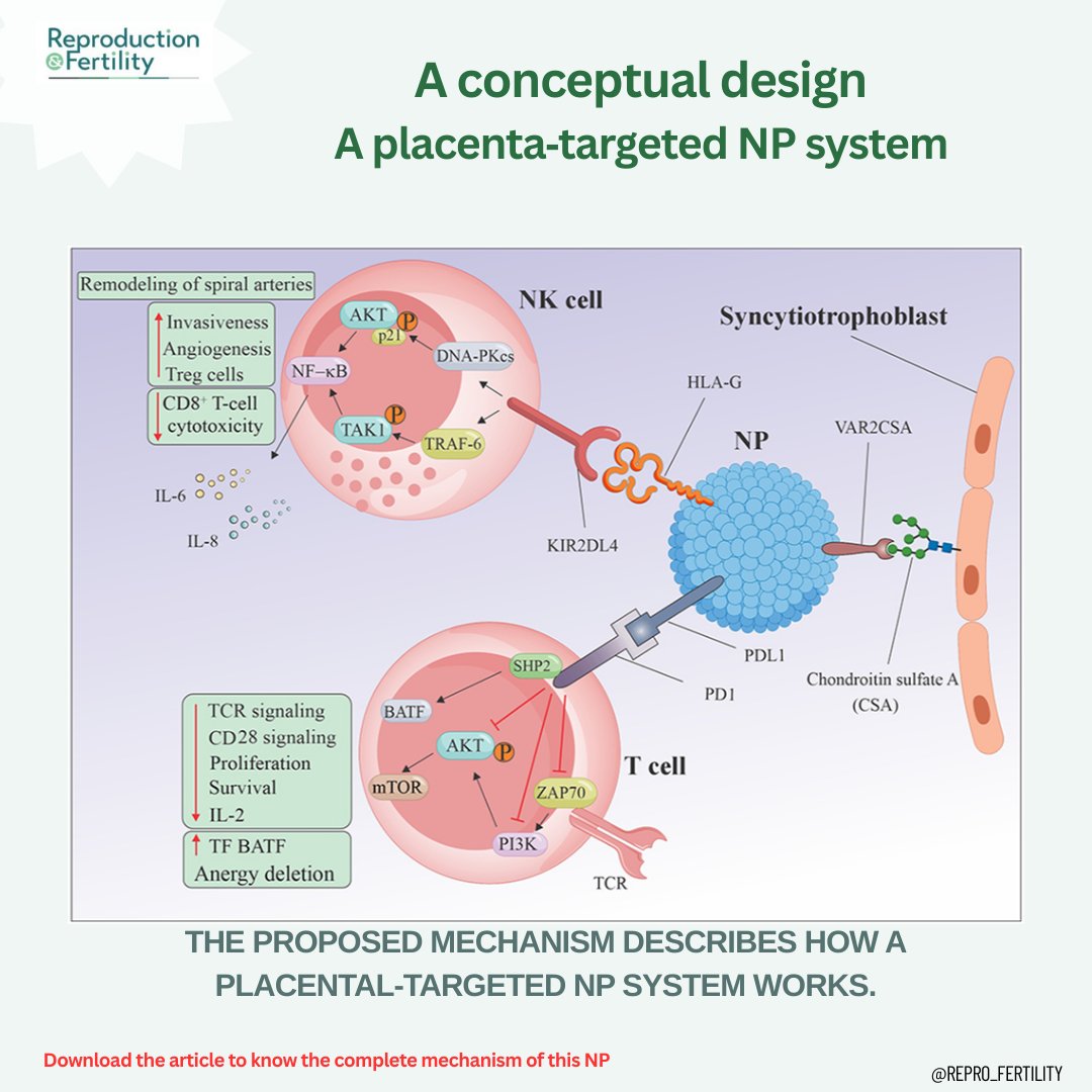 Reproduction and Fertility tweet media