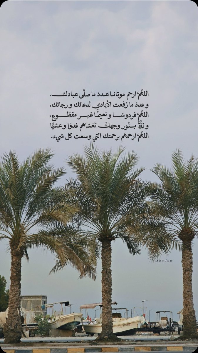 🌴🚤

`

اللهم ارحم جميع موتانا وموتى المسلمين . .