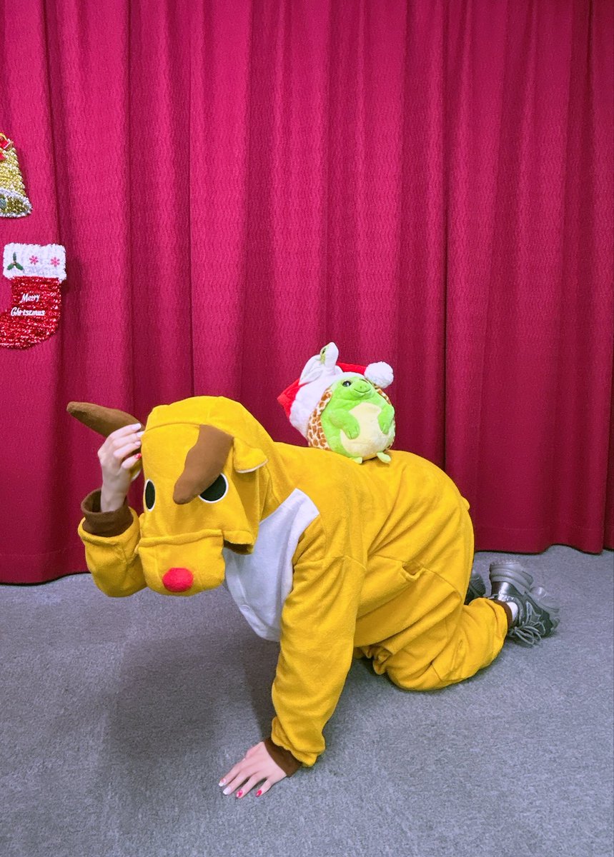 『薄井友里のツイてる！フロンティア』ご視聴ありがとうございました🎀🐰🎀

今回はクリスマス回でしたね🎄
ゆりの最初の登場いかがでしたか？✨
トナカイに寄生されたと思ってびっくりしたかな？？🫎

イマジナリーお兄ちゃんクリスマスバージョンも一緒に盛り上げてくれてありがとうございました💓