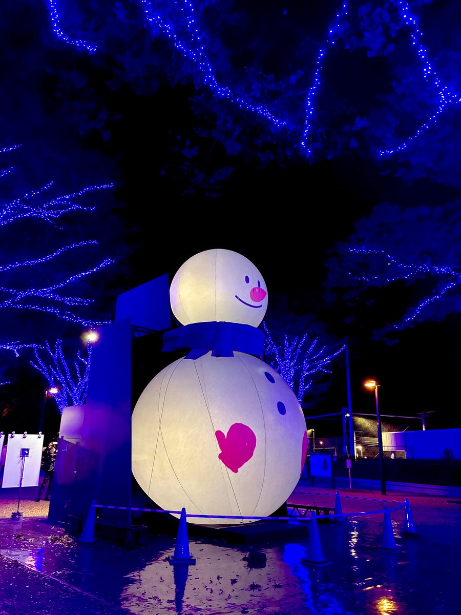 たまねこ (@tamanohitori) / Posts / X