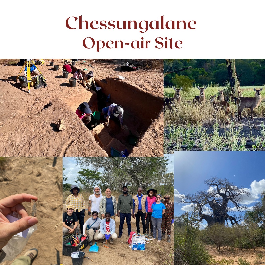 Dispersals_ERC's tweet image. #DISPERSALS Project was featured by #SAASSociety in their #Fieldwork Spotlight on #Chessungalane and #Colouche Caves in #Mozambique, highlighting our international team and capacity-building work in SADC #archaeology.
