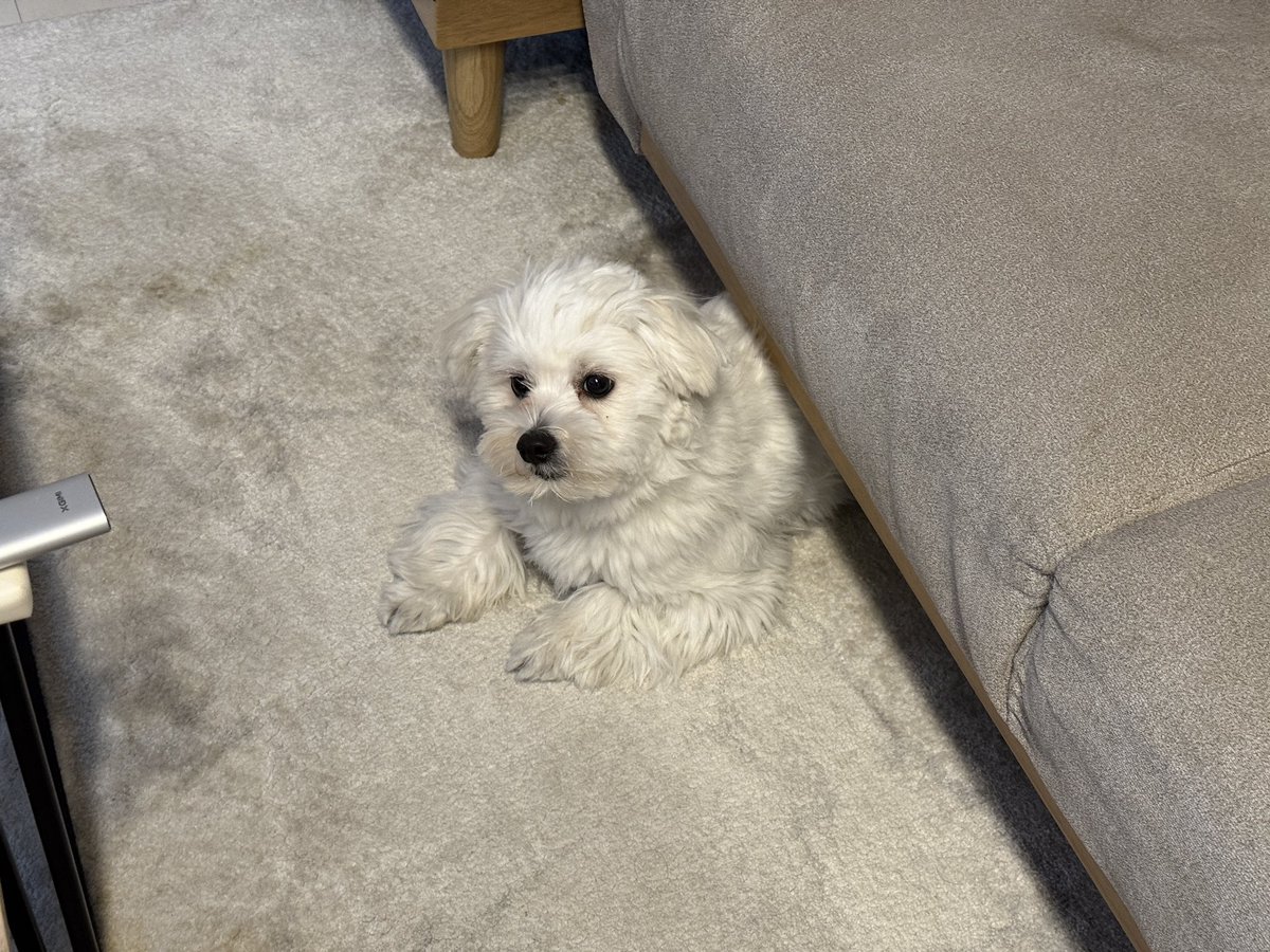 KinaRiページ♡ きなり (@_kinarinari) / Posts / X