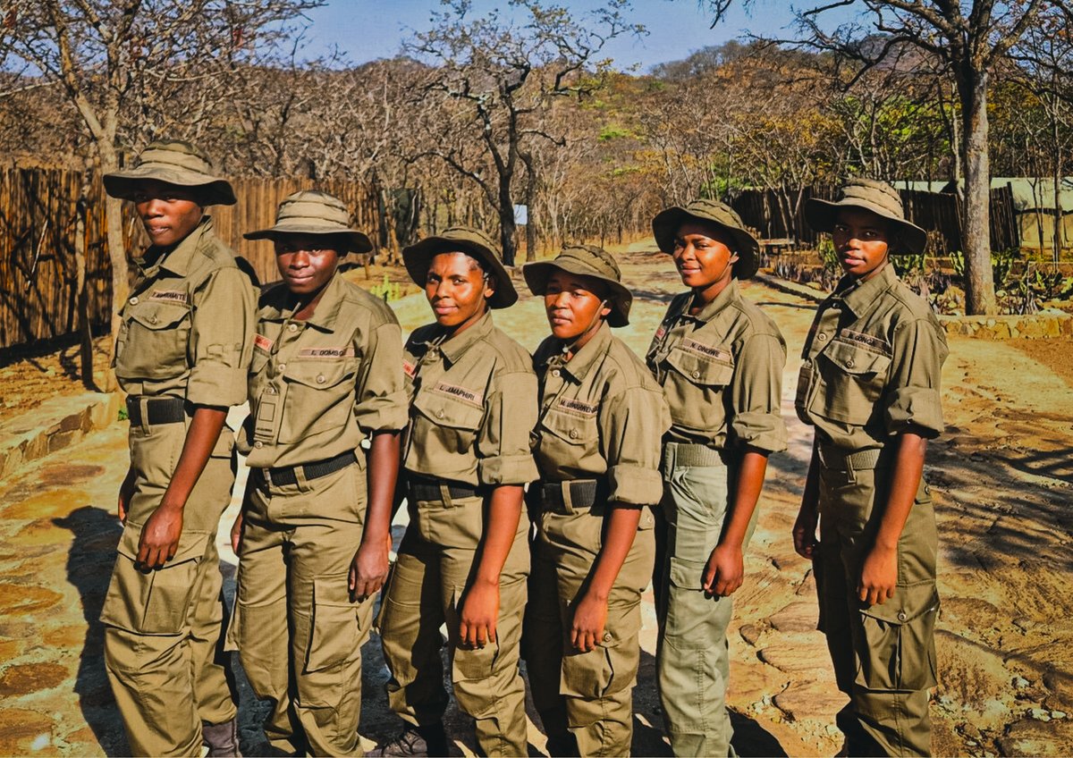 Akashinga tweet media